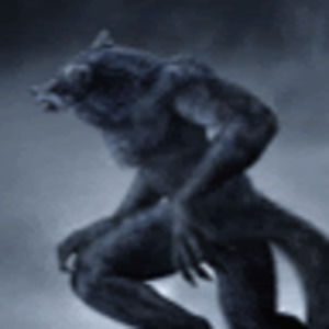 Meet your Posher, Ian